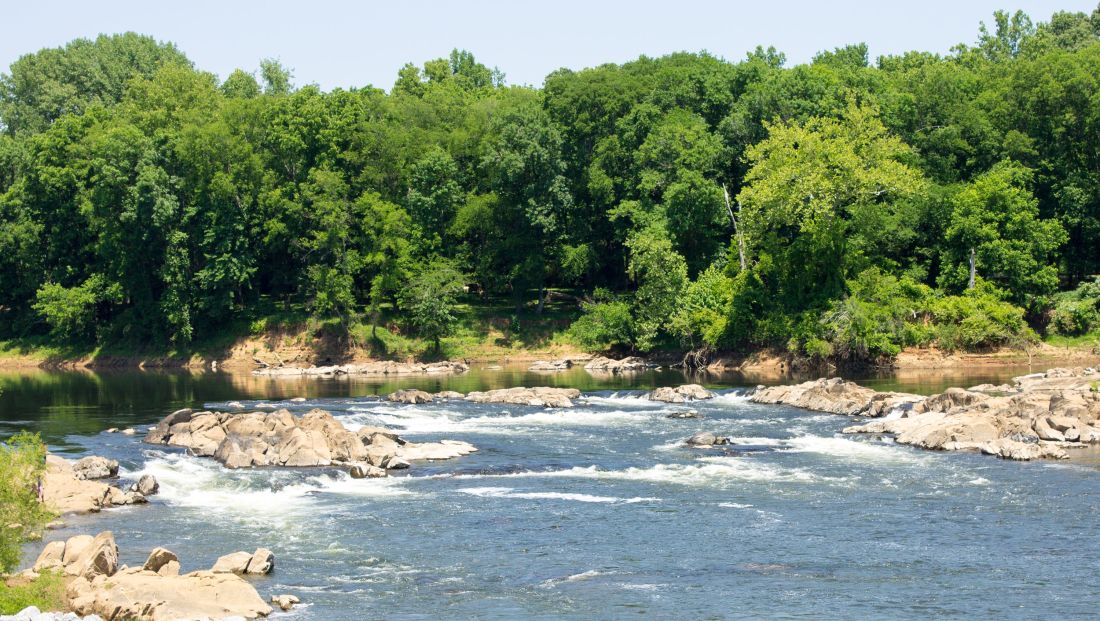 Roanoke River at River Falls Park in Weldon.jpg