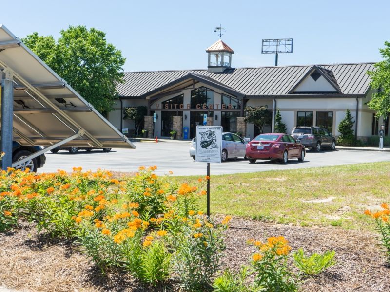 Halifax is a Monarch Butterfly Watch County