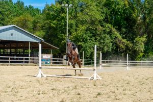 Horse Show at Halifax County 4-H Horse & Livestock Complex