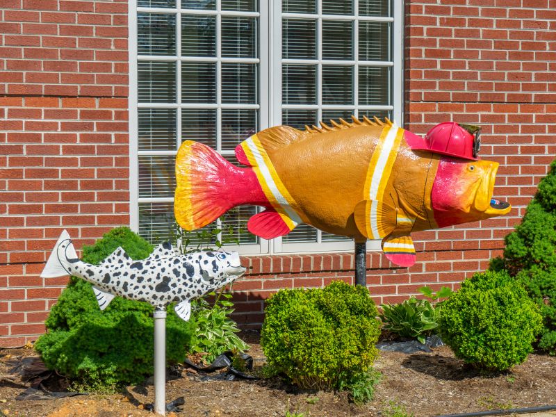 Roanoke Rapids Fire Department’s Rockfish