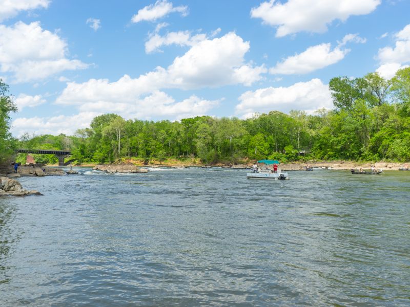 Rockfish Capital of the World