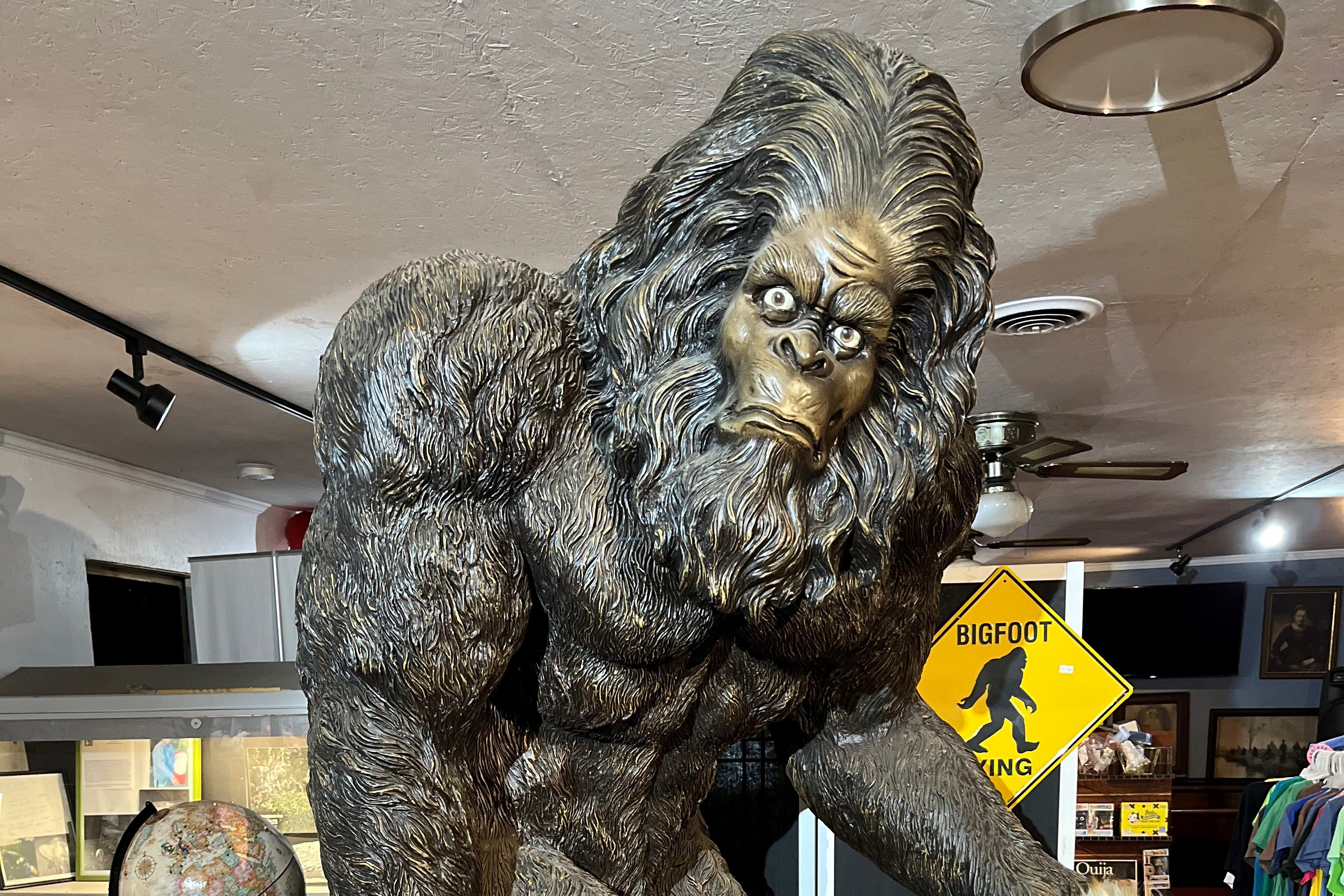 The Lore Of Bigfoot Lives On At North Carolina Bigfoot Festival : NPR