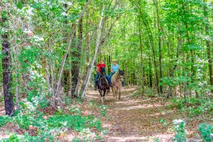 Riding on Halifax County Bridle Trails