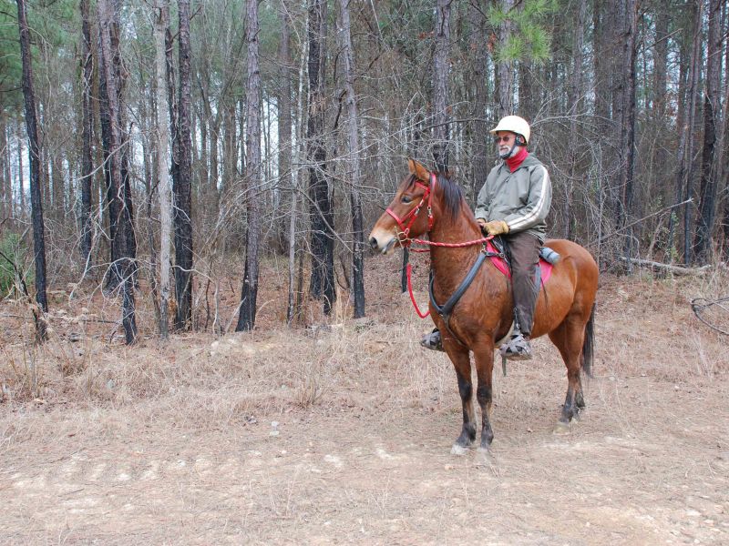 Equestrian Events and Recreation