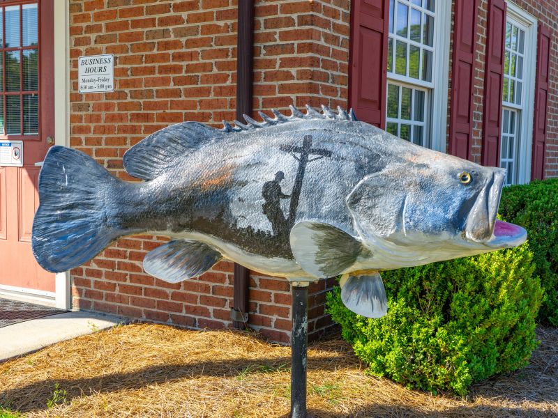 Halifax Electric’s Rockfish