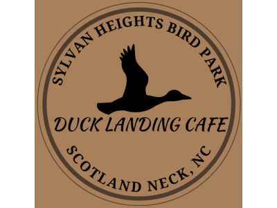 Duck Landing Cafe Logo