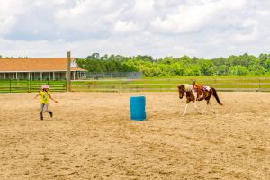 Halifax County Horse Fun Show